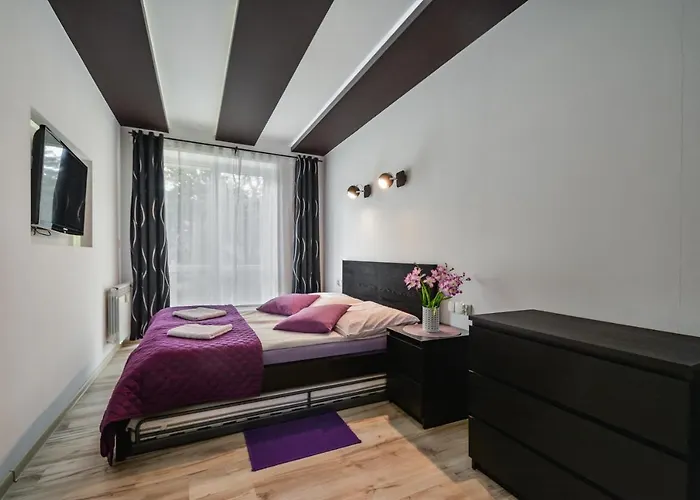 Hrabiego - Prywatna Sauna, 2 Sypialnie, Balkon, Parking, Centrum